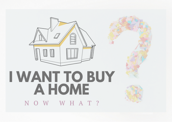 I Want to Buy a Home! Now What?!?